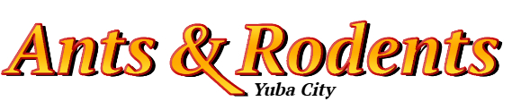 Yuba City Ant Exterminator & Rodent Control Company Logo